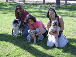 Karen & Sundance, Lissah & Bhoti, Hedda & Kirby