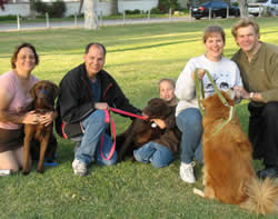 Ruby, her new brother Charlie & family; Haiku's back & his family